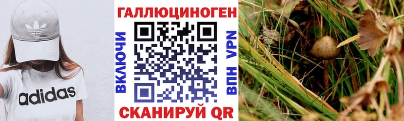 Купить закладки  Гаврилов-Ям  Галлюциногенные грибы MAGIC MUSHROOMS 
